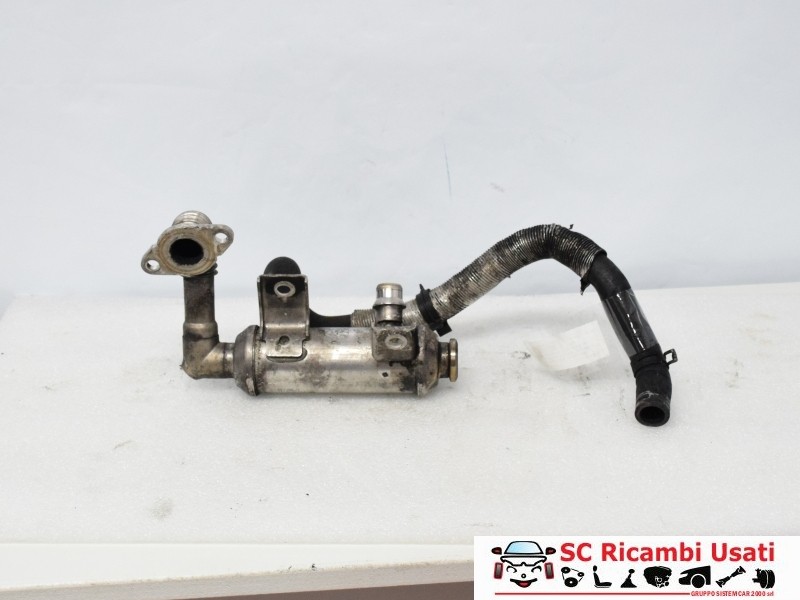 Radiatore Egr 1.8 Tdi 90cv Ford Transit Connect 7T1Q-9F464-AA - 10528