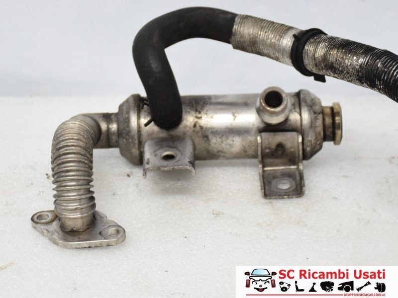 Radiatore Egr 1.8 Tdi 90cv Ford Transit Connect 7T1Q-9F464-AA - 10528