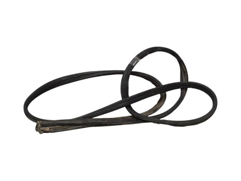 Guarnizione Portellone Posteriore Fiat Ducato 1352283080 - 11031