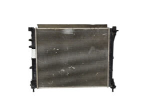 51939067 51939067 RADIATORE ACQUA FIAT Panda 3° Serie diesel