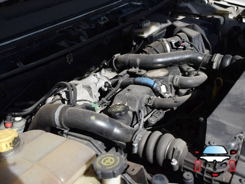 CULLA MOTORE FORD Transit Connect 2° Serie 5199263 diesel (06>09)