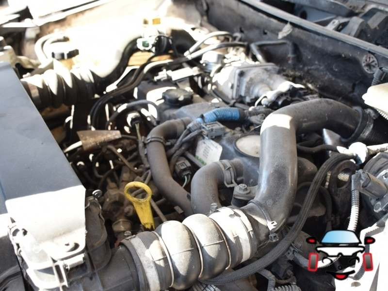 CULLA MOTORE FORD Transit Connect 2° Serie 5199263 diesel (06>09)
