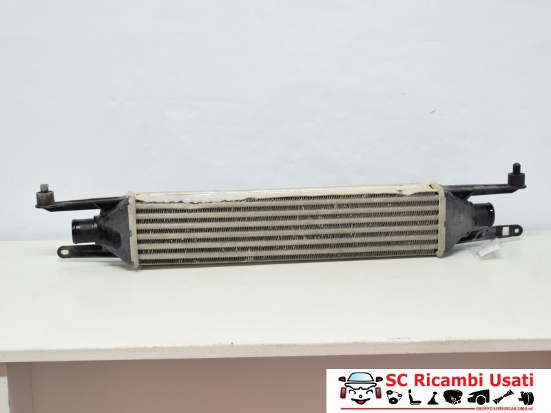 Intercooler Fiat Grande Punto 1.3 Multijet 75cv 55702237 - 11321