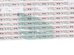 Vetro Anteriore Destro Fiat New Panda - 11395