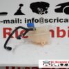 Serbatoio Liquido Radiatore Fiat New Panda 2017 51844133 - 04140