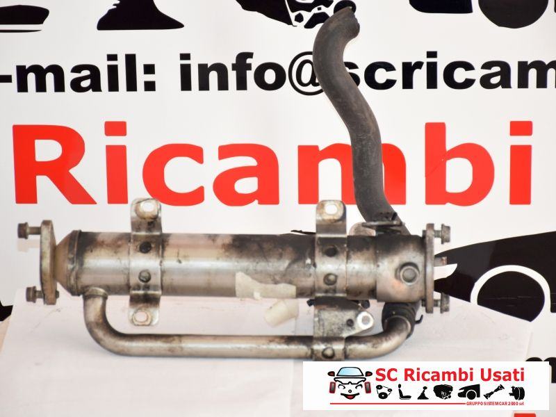 Radiatore Egr Vw Passat 2.0 Tdi 03G131512AE - 00487 Radiatore Egr Vw Passat 2.0 Tdi 03G131512AE - 00487