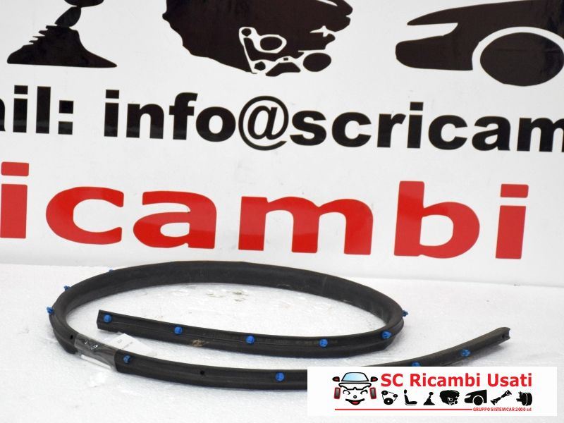 Guarnizione Tenuta Porta Posteriore Destra Bmw X1 - 05401 Guarnizione Tenuta Porta Posteriore Destra Bmw X1 - 05401