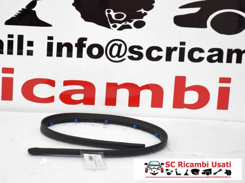 Guarnizione Tenuta Porta Anteriore Destra Bmw X1 - 05413 Guarnizione Tenuta Porta Anteriore Destra Bmw X1 - 05413