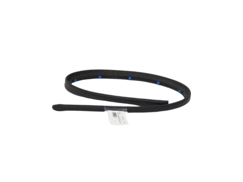 Guarnizione Tenuta Porta Anteriore Destra Bmw X1 - 05413 Guarnizione Tenuta Porta Anteriore Destra Bmw X1 - 05413
