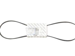 Cinghia Servizi Fiat Doblo 46820062 - 05525