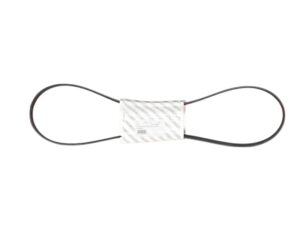 Cinghia Servizi Fiat New Panda (nuova) 46820062 - 05526