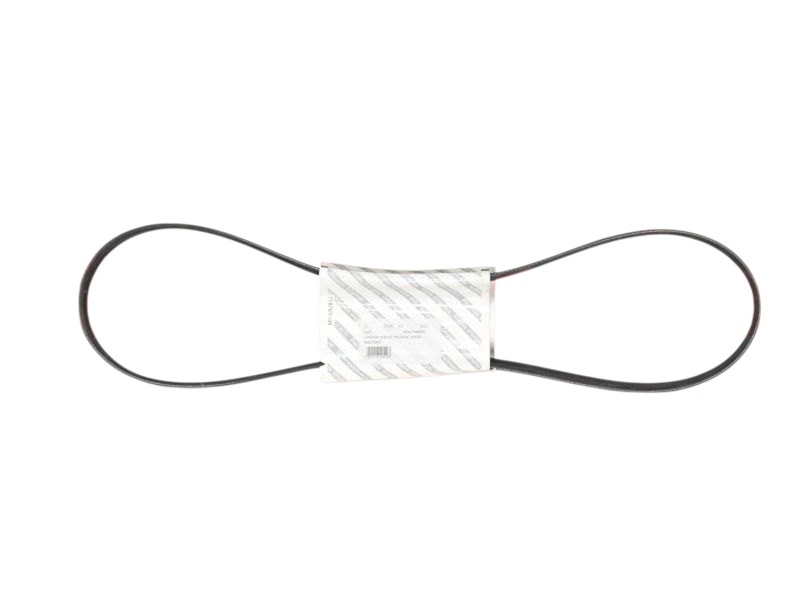 Cinghia Servizi Fiat New Panda (nuova) 46820062 - 05526