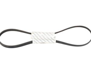 Cinghia Servizi Fiat Fiorino 1.3 Multijet 46820062 - 05527