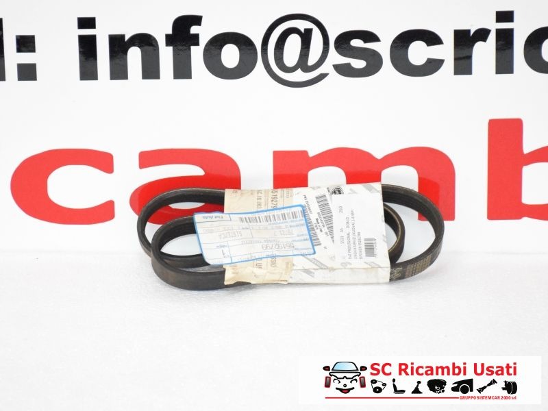 Cinghia Servizi Fiat Doblo 1.6 55192799 - 05533 Cinghia Servizi Fiat Doblo 1.6 55192799 - 05533