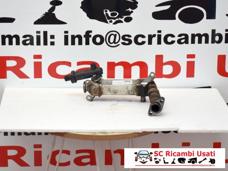 Radiatore Egr Bmw Serie 1 118d 11717787870 - 05789