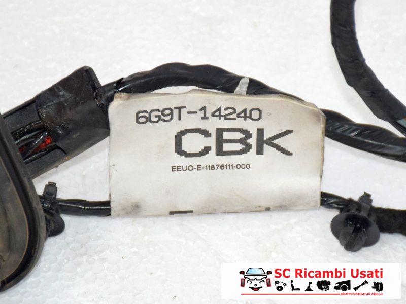 Cablaggio Porta Posteriore Sinistra Ford S Max 6G9T14240 1541888 - 07380