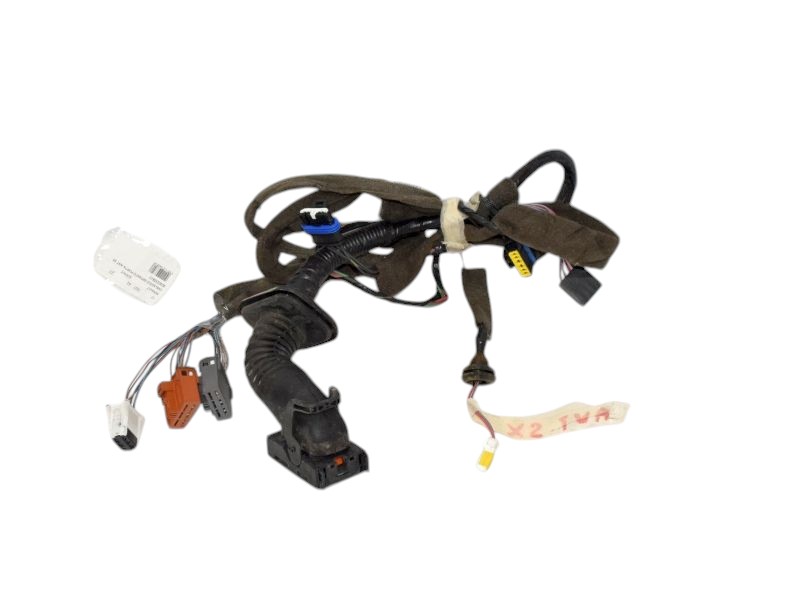 Cablaggio Porta Anteriore Sinistra Renault Scenic 8200235813 - 07427