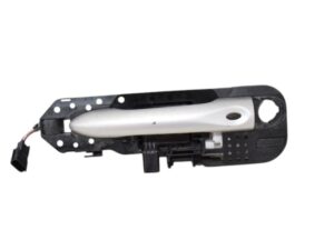 Maniglia Anteriore Sinistra Renault Scenic 3 806070033R - 08949