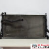 1357325 1357325 RADIATORE ACQUA FORD C - Max Serie diesel