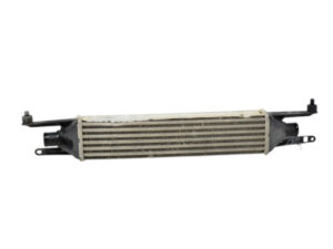 55702237 INTERCOOLER FIAT Grande Punto 1° Serie diesel