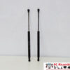 PISTONCINI COFANO POST. FIAT Panda 3° Serie 51841634 (12>)