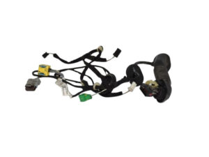 CABLAGGIO PORTA ANTERIORE DESTRA LANCIA Phedra 1° Serie 1493754080 (02>10)