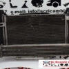 A1695000900 A1695000900 KIT RADIATORI MERCEDES Classe A W169 4° Serie diesel
