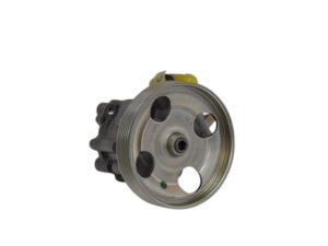 9685555580 9685555580 POMPA IDROGUIDA CITROEN Berlingo 2° Serie Diesel