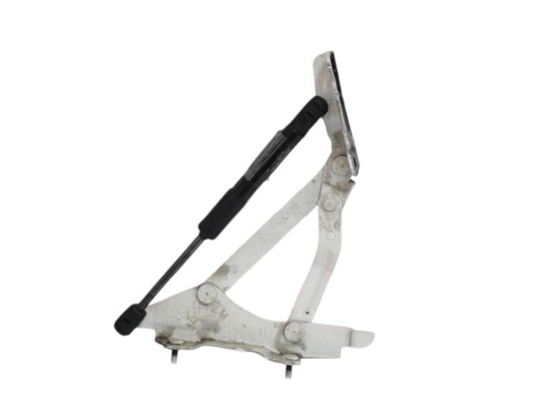 CERNIERA PORTELLO POSTERIORE SX FIAT 124 Spider Serie (348) 6000615234 (16>)