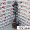 MASSA MECCANICA COMPLETA DESTRA FIAT Panda 2° Serie (03>10)