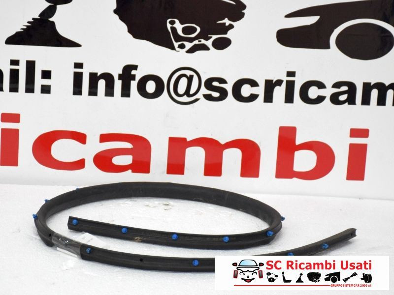 PORTIERA POSTERIORE DESTRA BMW X1 Serie (F48) (15>)