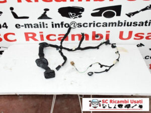 CABLAGGIO PORTA ANTERIORE DESTRA RENAULT Captur Serie 289820001R (13>19)