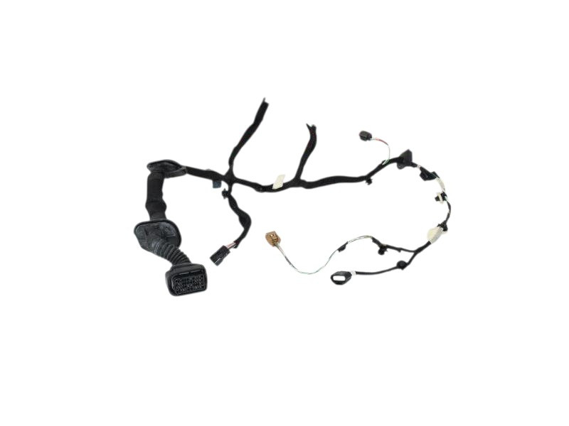 CABLAGGIO PORTA ANTERIORE DESTRA RENAULT Captur Serie 289820001R (13>19)