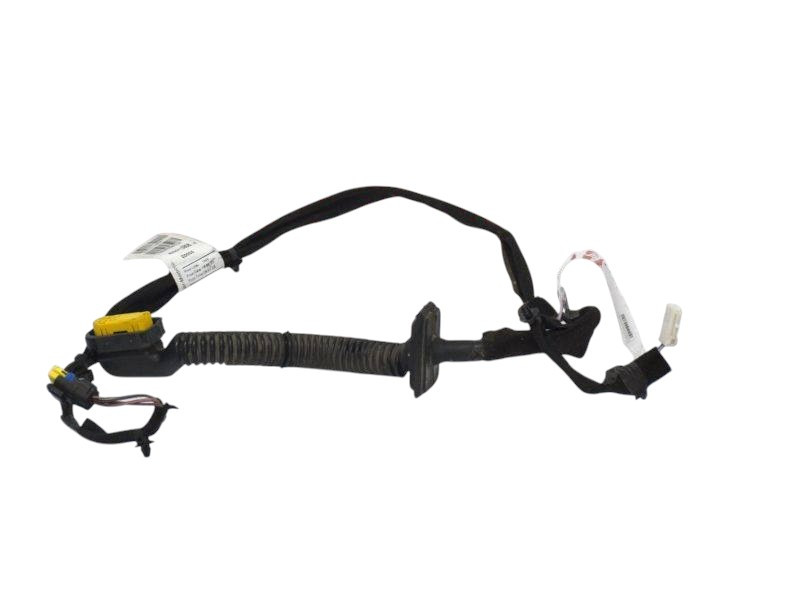 IMPIANTO ELETTRICO (CABLAGGIO) PORTA POSTERIORE SX RENAULT Clio Serie Restyling 7701069193 (01>10)