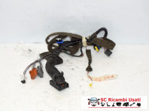 CABLAGGIO PORTA ANTERIORE SINISTRA RENAULT Scenic 3° Serie 8200235813 (03>06)