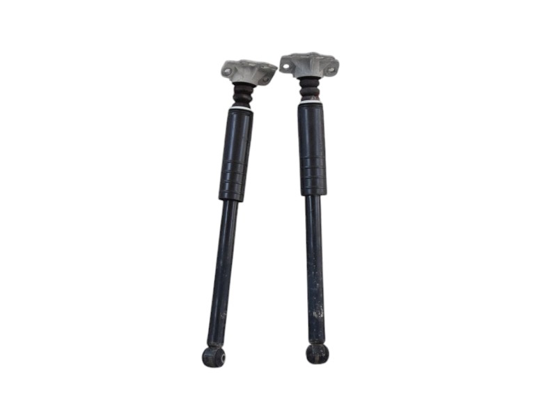 Ammortizzatori Posteriori Fiat Grande Punto - 11731 Ammortizzatori Posteriori Fiat Grande Punto - 11731