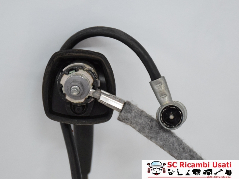 Antenna Autoradio Dacia Duster 8200684863 282438118R - 11827