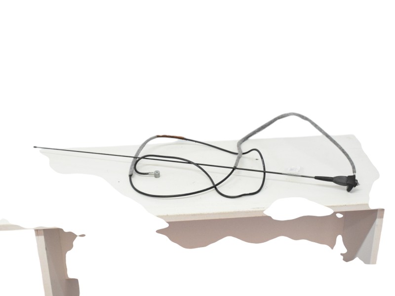 Antenna Autoradio Dacia Duster 8200684863 282438118R - 11827