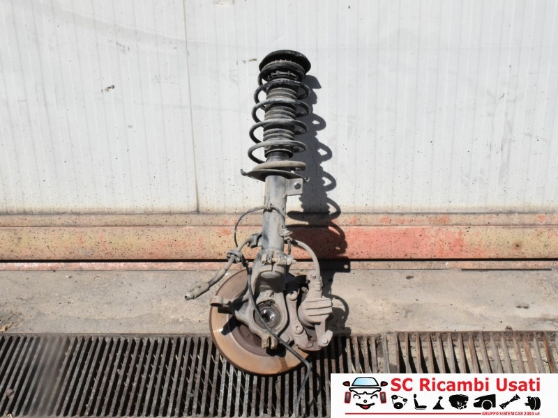 Sospensione Anteriore Sinistra Citroen C3 - 12046 Sospensione Anteriore Sinistra Citroen C3 - 12046