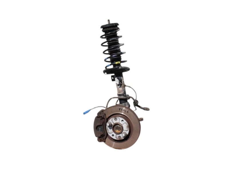 Sospensione Anteriore Sinistra Citroen C3 - 12046 Sospensione Anteriore Sinistra Citroen C3 - 12046