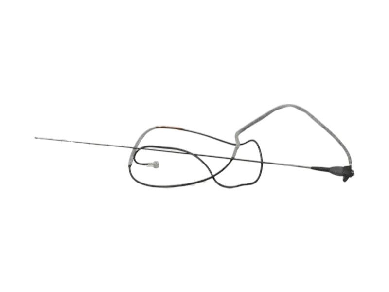 ANTENNA AUTORADIO DACIA Duster 1° Serie 8200684863 (10>17)