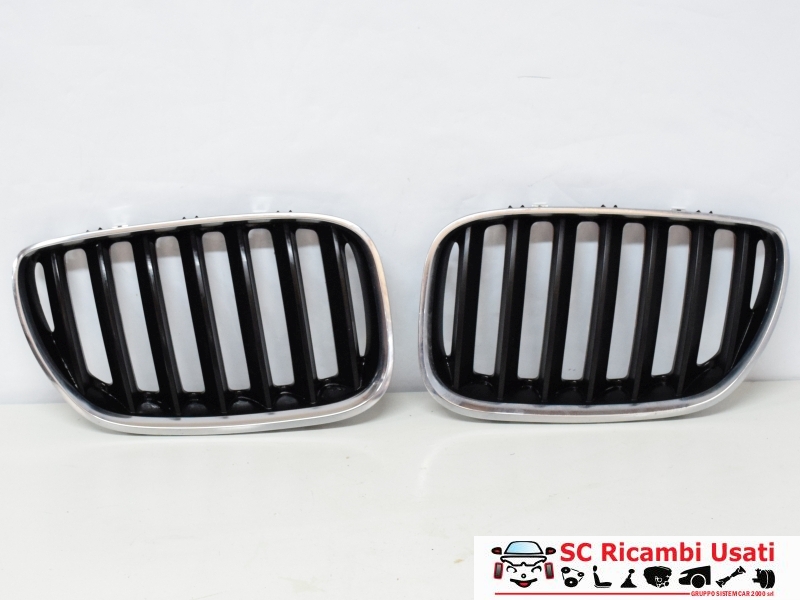 Griglia Paraurti Anteriore Bmw X5 E53 51137124815 51137124816 - 12736