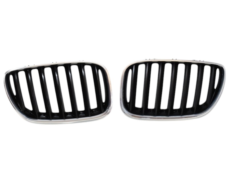Griglia Paraurti Anteriore Bmw X5 E53 51137124815 51137124816 - 12736