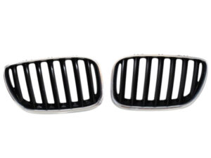 GRIGLIA PARAURTI BMW X5 Serie (E53) 51137124815 (99>06)