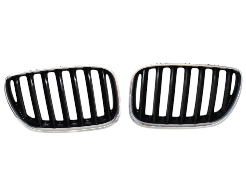 GRIGLIA PARAURTI BMW X5 Serie (E53) 51137124815 (99>06)