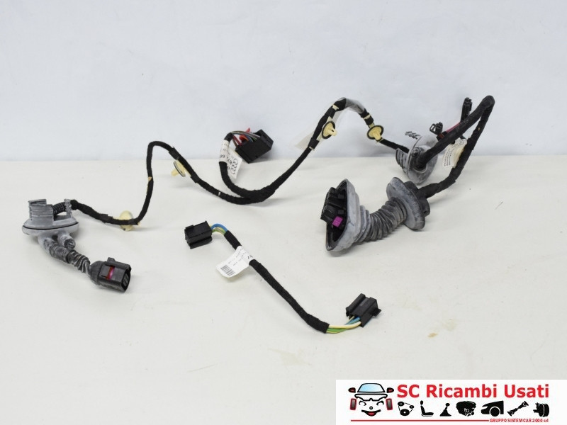 IMPIANTO ELETTRICO (CABLAGGIO) PORTA POSTERIORE SX AUDI A6 Avant Serie C6 (4F5) 4F1971687 (04>12)