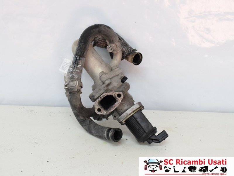 Gruppo Egr 1.3 Multijet 51kw Fiat Panda 55197845 55180037 71723449 71793407 55201144 - 13112 Gruppo Egr 1.3 Multijet 51kw Fiat Panda 55197845 55180037 71723449 71793407 55201144 - 13112