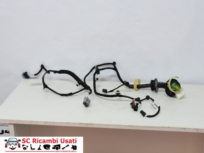 CABLAGGIO PORTA ANTERIORE DESTRA CITROEN C3 2° Serie 9674236880 (05>10)