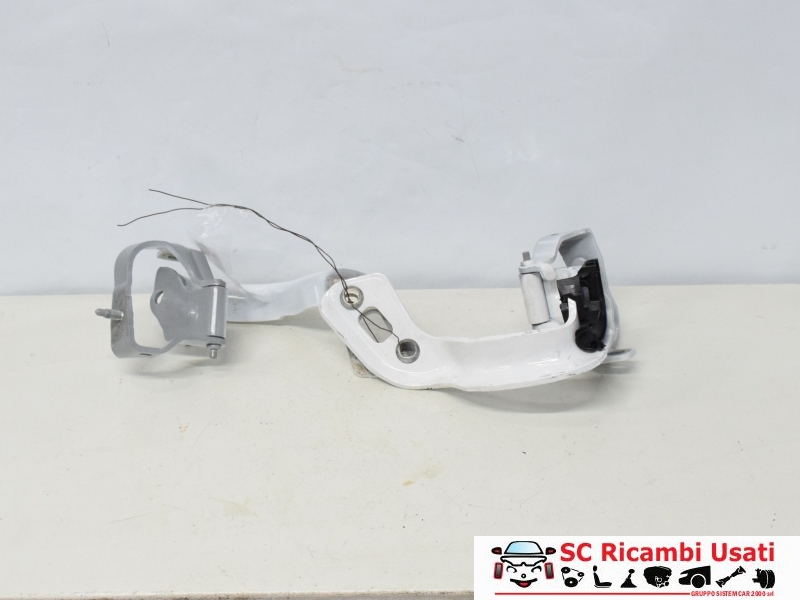 Cerniere Portellone Audi A4 Avant 8K9827300 8K9827299 - 14299