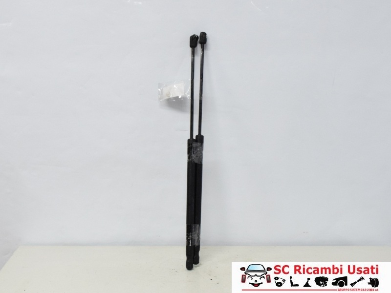 Molle A Gas Portellone Ford Fiesta Mk6 8A61A406A10AC - 15220